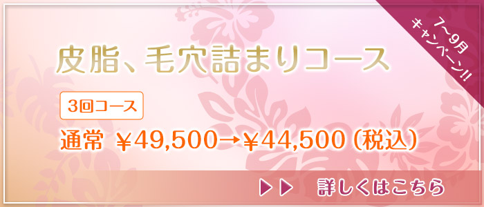 6~9月キャンペーン!!皮脂、毛穴詰まりコース