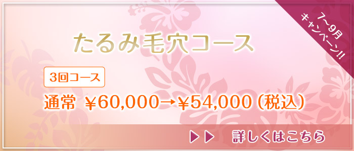 6~9月キャンペーン!!たるみ毛穴コース