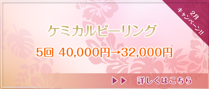 2月キャンペーン!!①